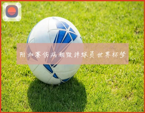 附加赛伤病潮毁掉球员世界杯梦