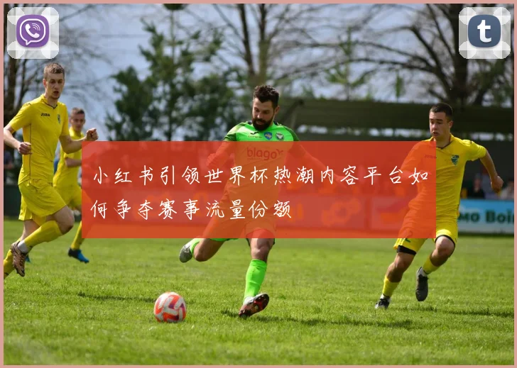小红书引领世界杯热潮内容平台如何争夺赛事流量份额