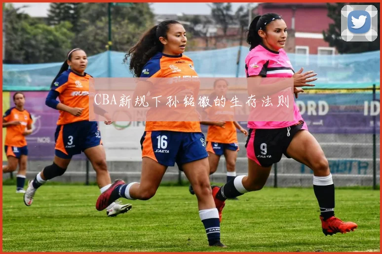 CBA新规下孙铭徽的生存法则