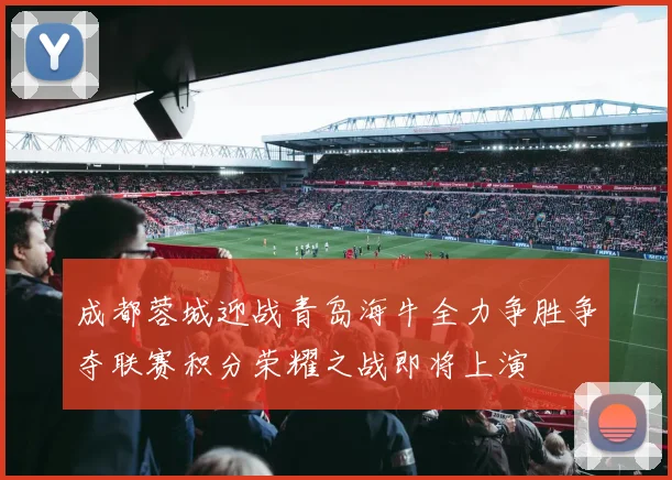 成都蓉城迎战青岛海牛全力争胜争夺联赛积分荣耀之战即将上演