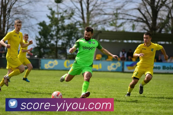 易游平台生态图